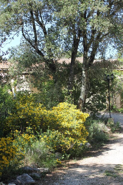 הוילה Saint-Siffret A L'Est D'Uzes מראה חיצוני תמונה