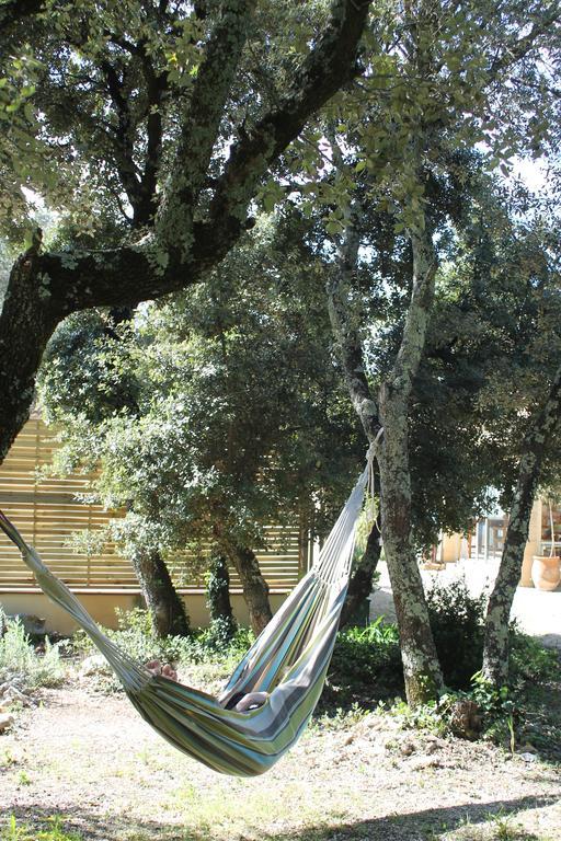 הוילה Saint-Siffret A L'Est D'Uzes מראה חיצוני תמונה