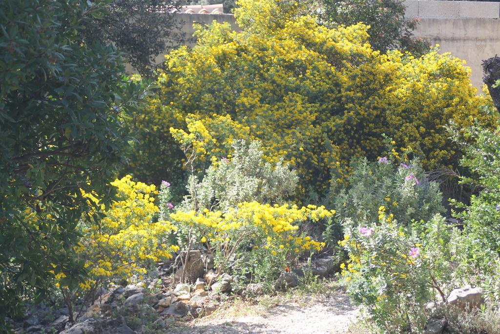 הוילה Saint-Siffret A L'Est D'Uzes מראה חיצוני תמונה